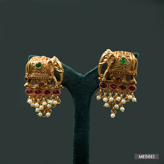 Earrings (ME56E1)